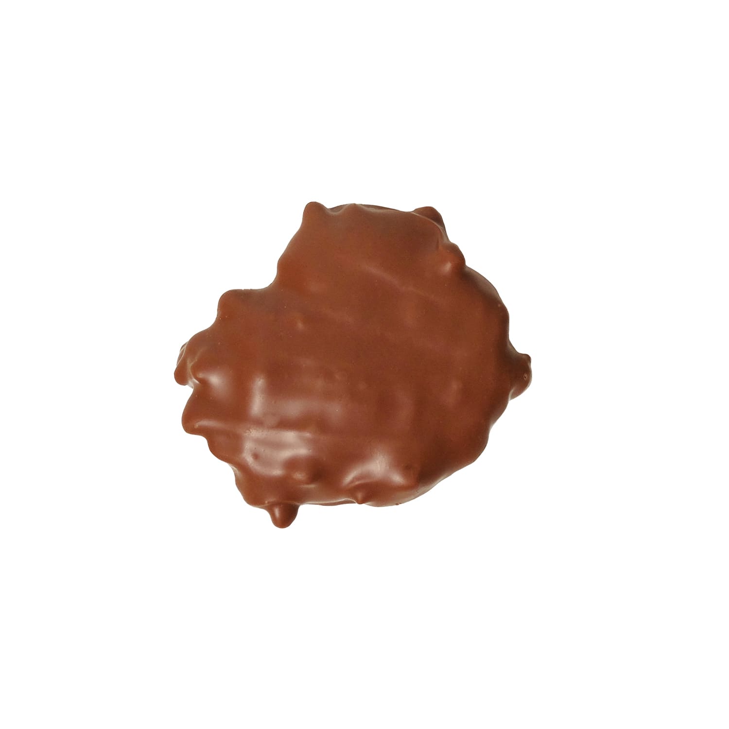 Giant Pecan & Chocolate Patty - 1 unit