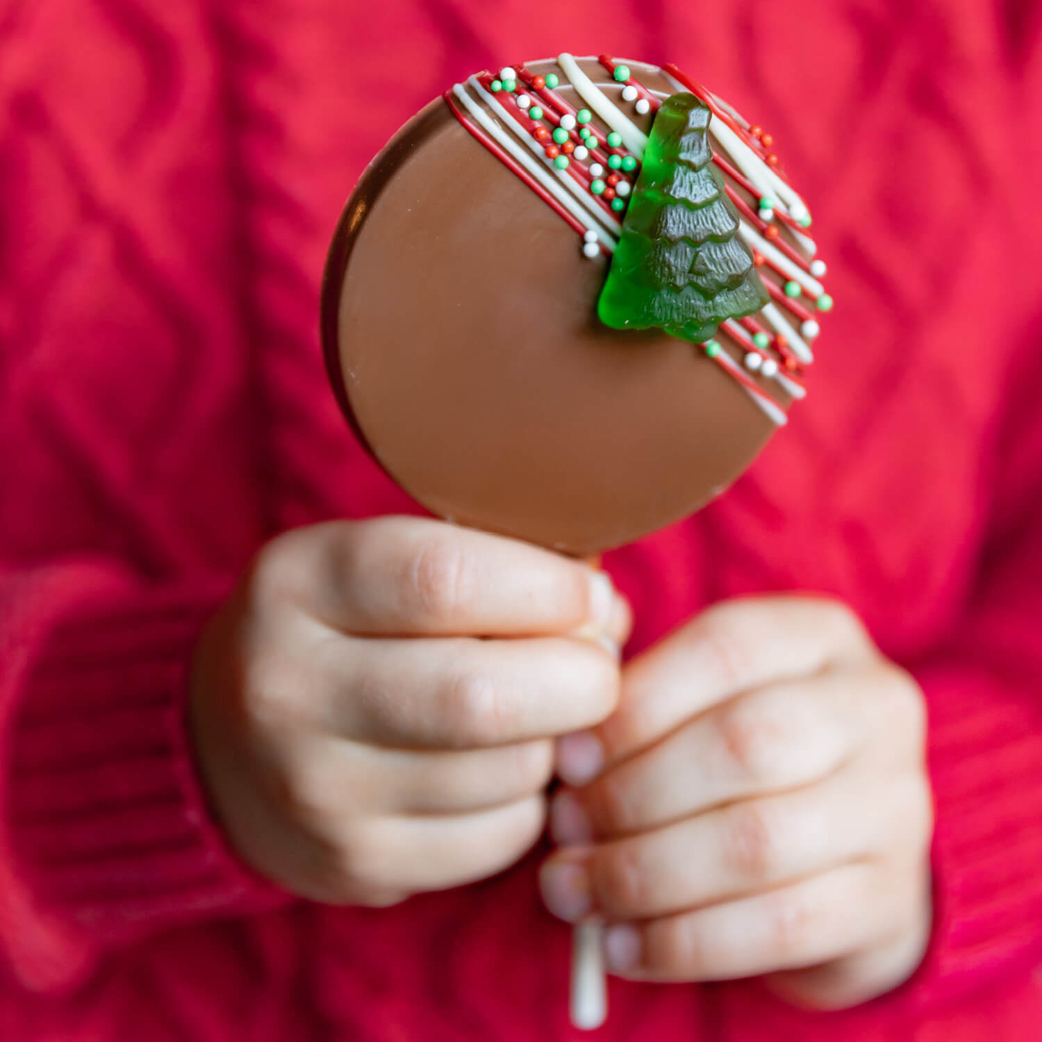 Belgian chocolate choco-candy lollipop - 1 unit