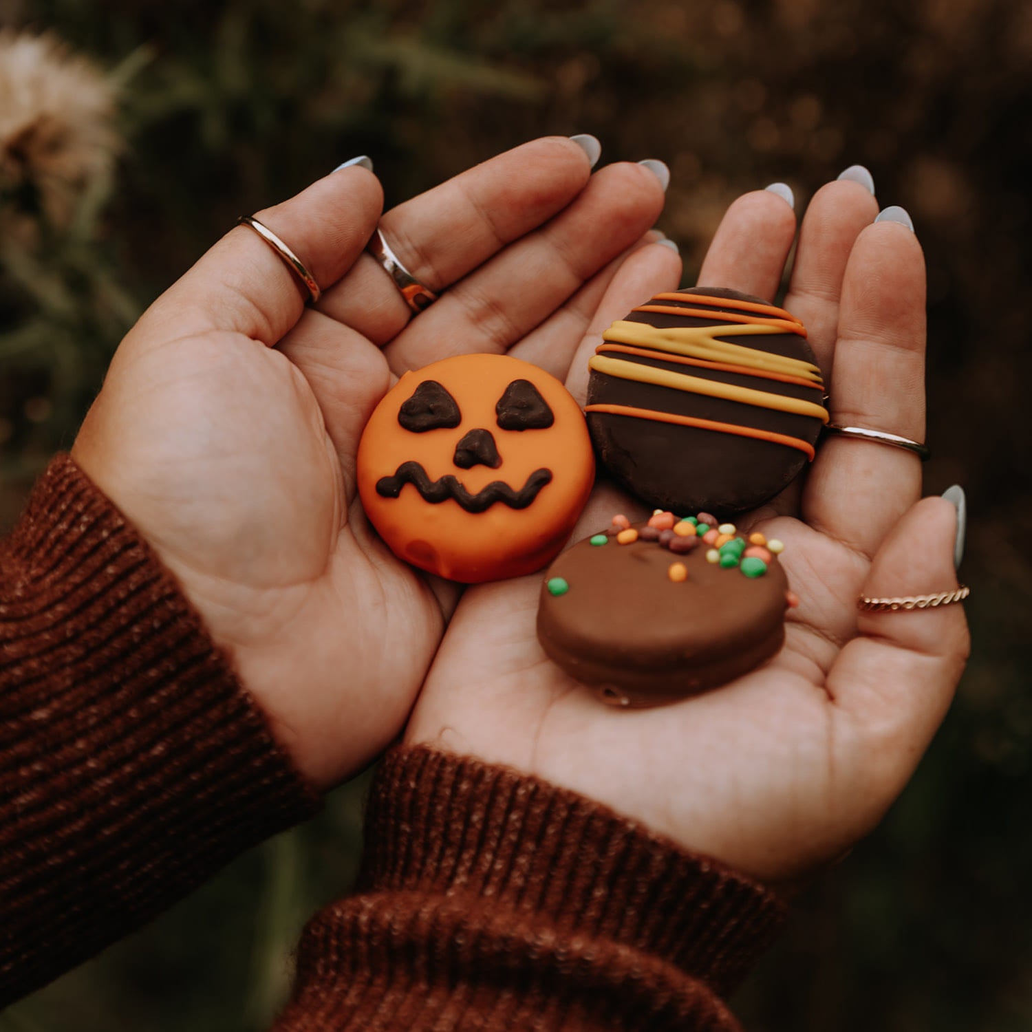 Chocolate Halloween Cream cookies - Pack of 3