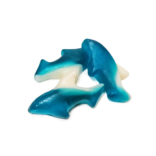 Requins bleus gommeux