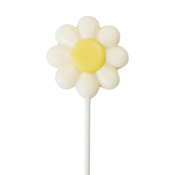 Daisy chocolate pop｜KandJu